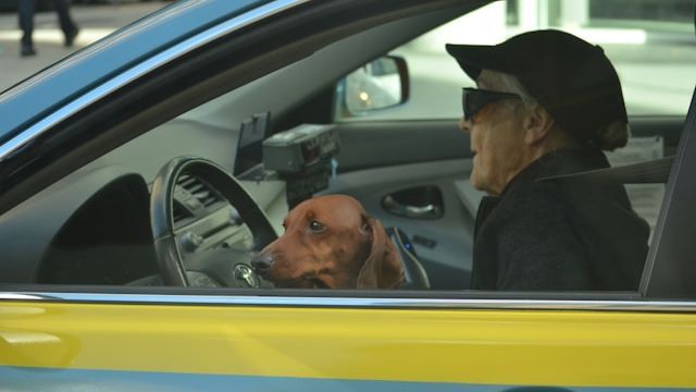 Für die Verlängerung eines regulären Führerscheins der Klasse B braucht es keine medizinische Untersuchung, unabhängig vom Alter