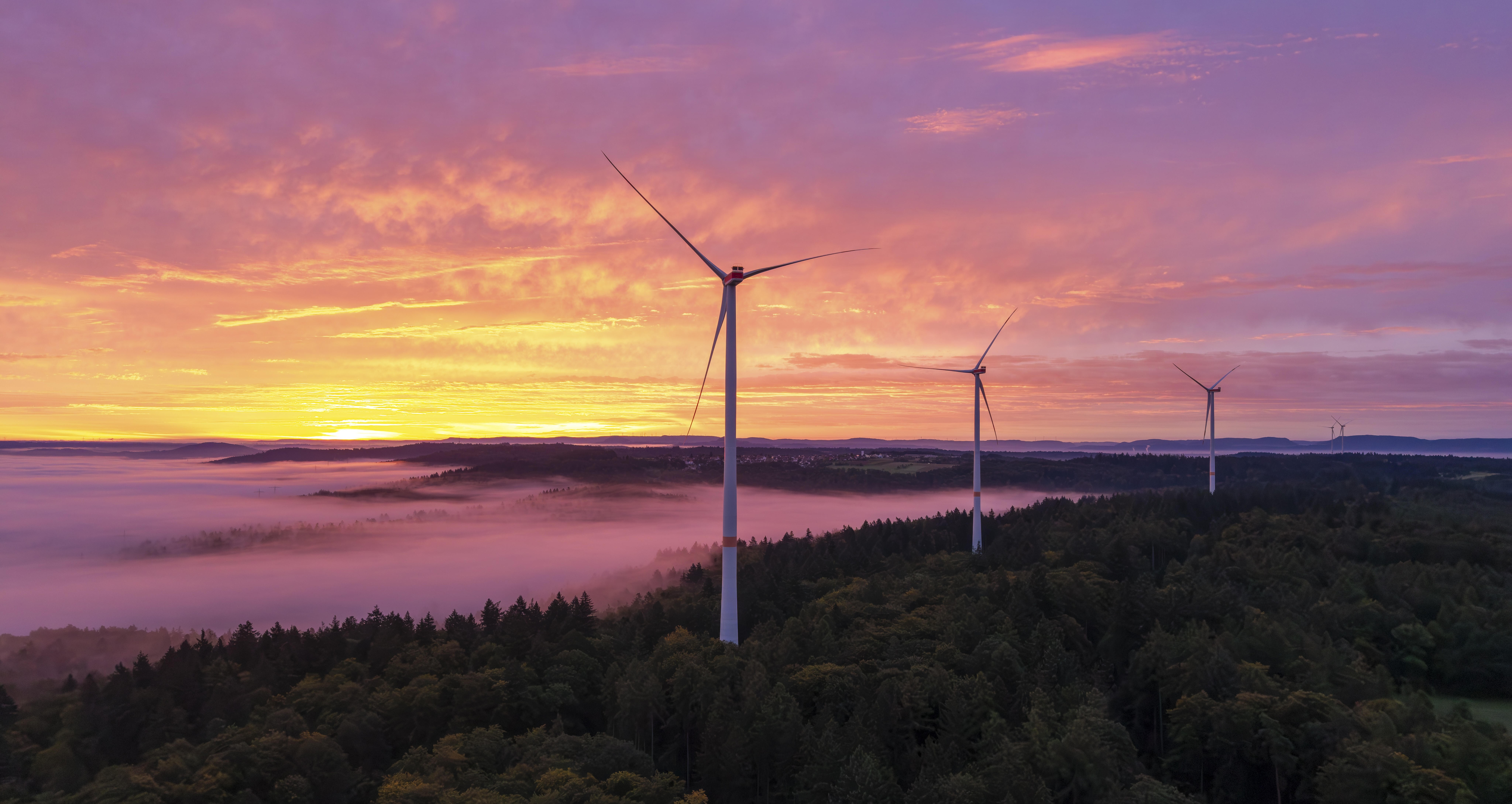 Windräder im Wald sorgen immer wieder für Desinformation (Symbolbild)